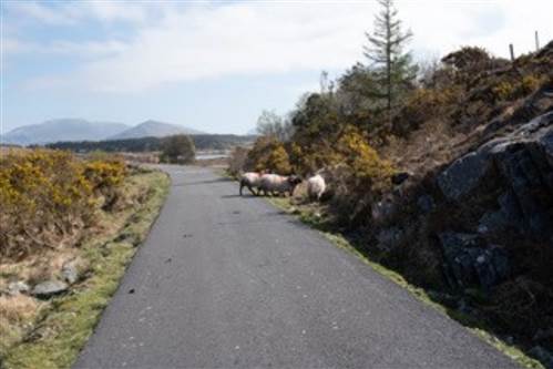 Irelands Greenways and Trails - Greenway in Clifden