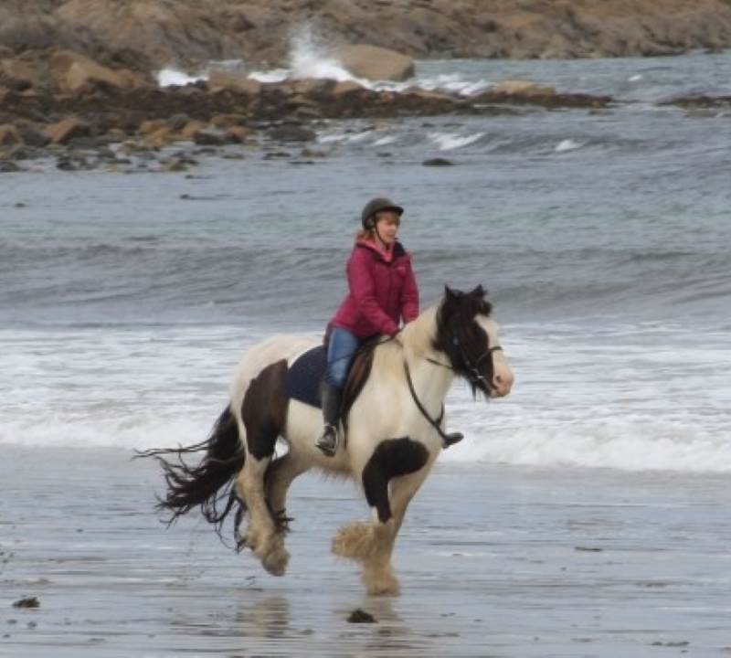 beach horse riding