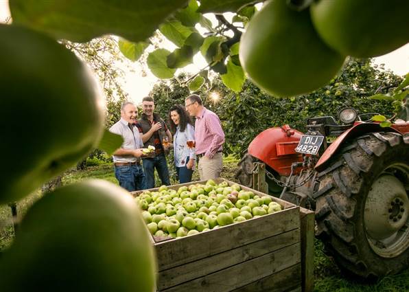 One Night B&B with Armagh Cider Company Tour