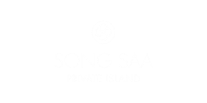 logo songsaa