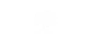 logo twelve