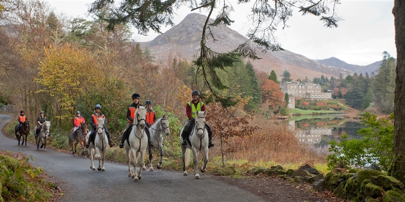 Explore the Grounds on Horseback