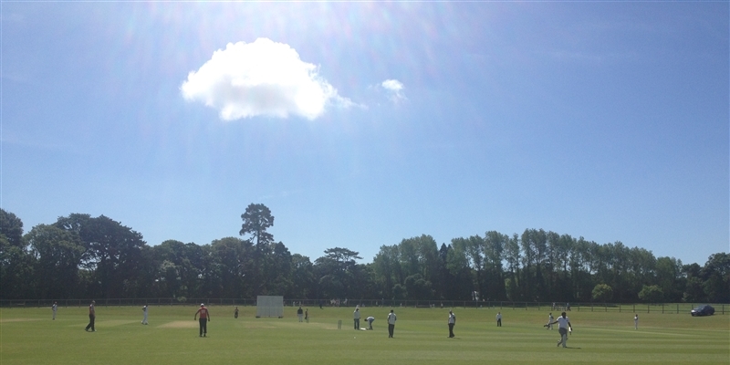 Ranji Trophy Ireland, Cricket Competition