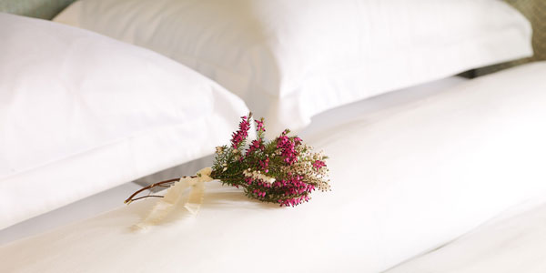 Duvet Day From €245 per person