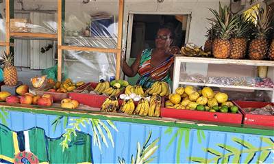 Fruit Stand Anguilla
