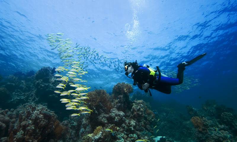 Anguilla Experiences Sport Diving