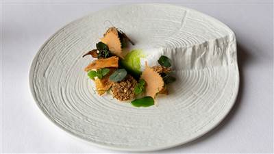Jerusalem artichoke  The Morrison Room