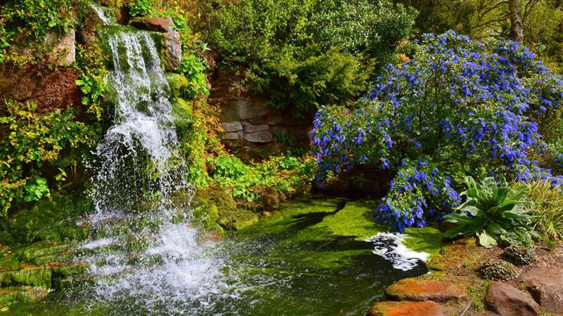 Ness Gardens 2