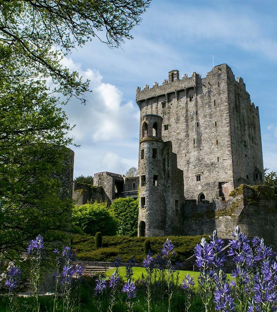 Blarney Castle Gardens Blarney