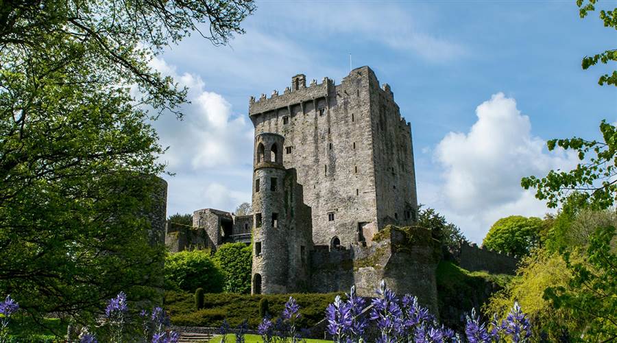 Blarney-Castle-and-Gardens,-Blarney,-Co-
