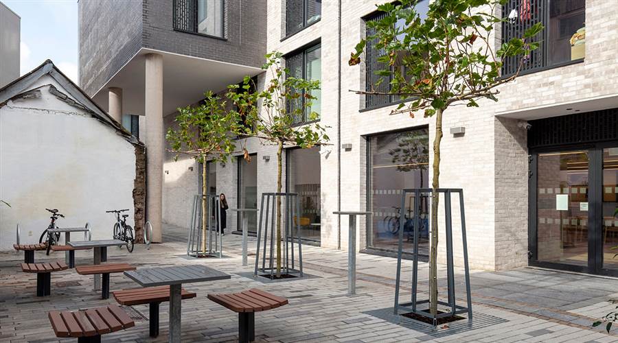 Coleman Court 