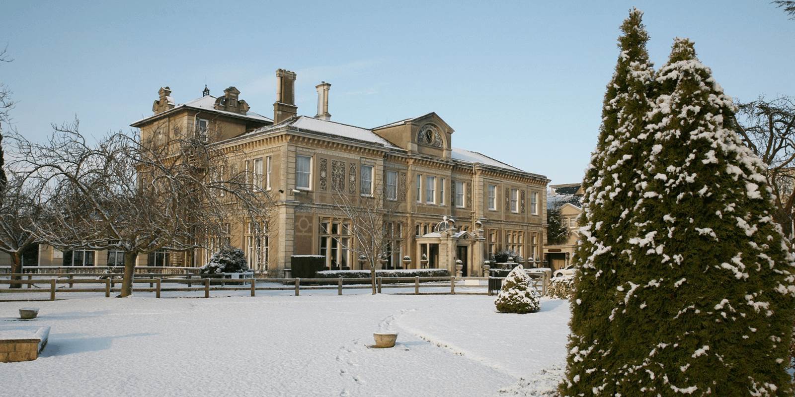 Website image xmas3