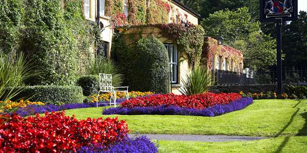 Short exterior shot with flowers