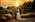 Irelands best wedding hotel