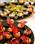 Fernhill Wedding Canapes