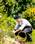 Foraging in Fernhill Country House Garde