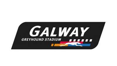 Galway Greyhound
