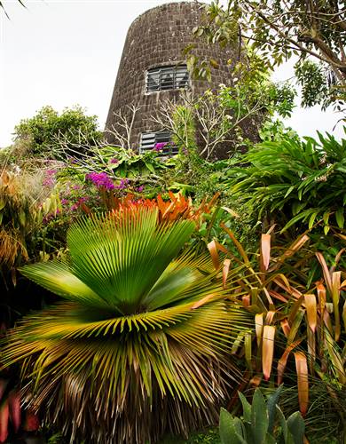 Hotels with cottages in Nevis. GOLDEN ROCK INN