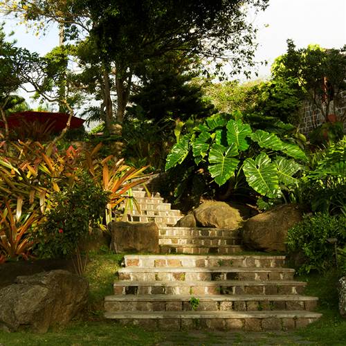 Exterior gardens at Golden Rock Inn, nature hotel in st kitts and nevis