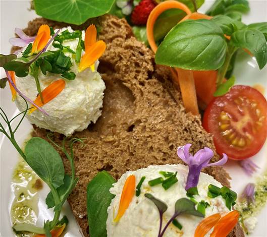 Darcys Labneh Style Cheese Salad on Toast