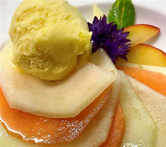 Melon and Sorbet Starter