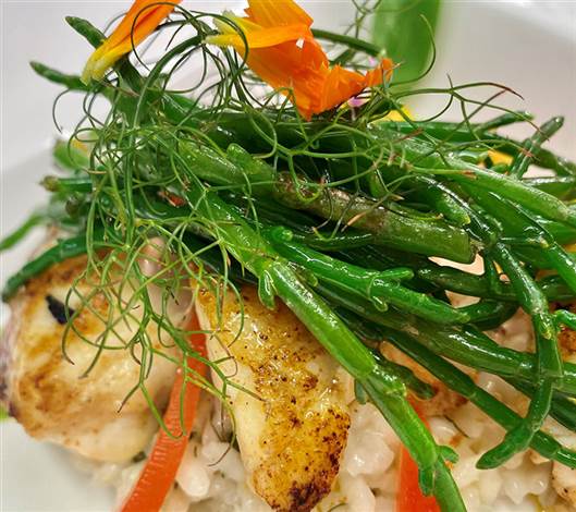 Monkfish, Risotto, Samphire and Marigold