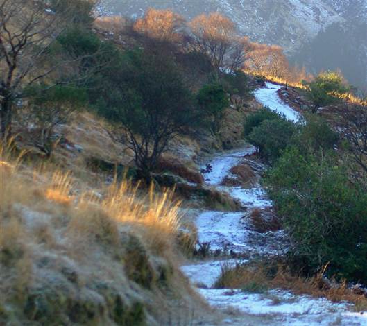 Si Gaeltacht Mhuscrai in the Snow