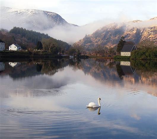 Swans in Lake, Hotel and Church