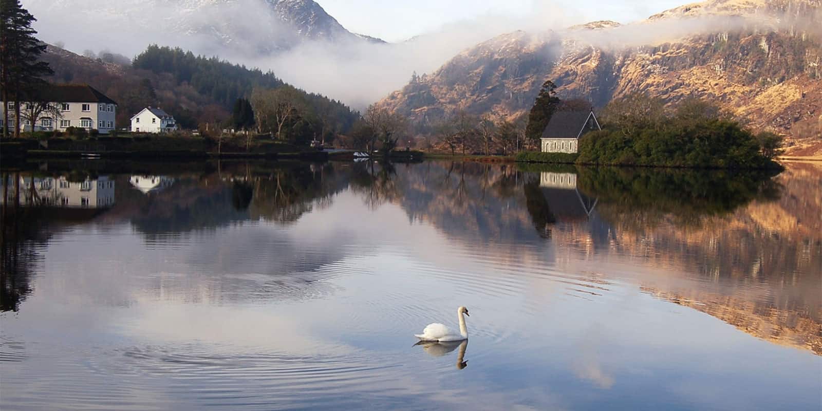 Best in Ireland 2021