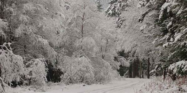 Gougane Barra Forest Park - A Place to Explore...