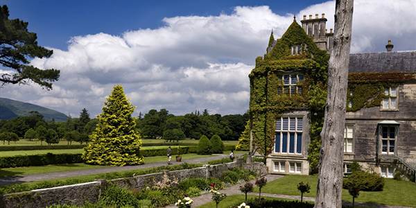 Ring of Kerry & Dingle