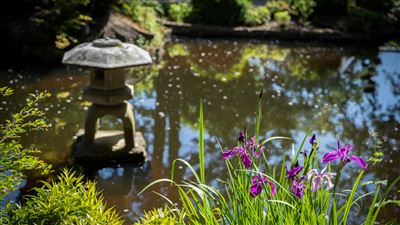 Grantley Hall  Japanese Gardens