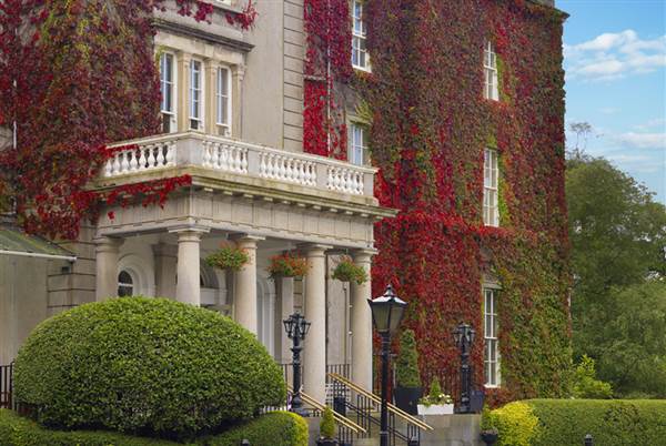 Red Ivy Exterior (1) (1)