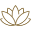 014 lotus