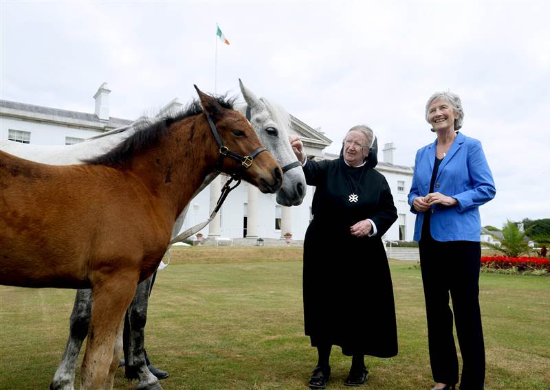 PRES CONNOLLY KYLEMORE HORSES MAX 8