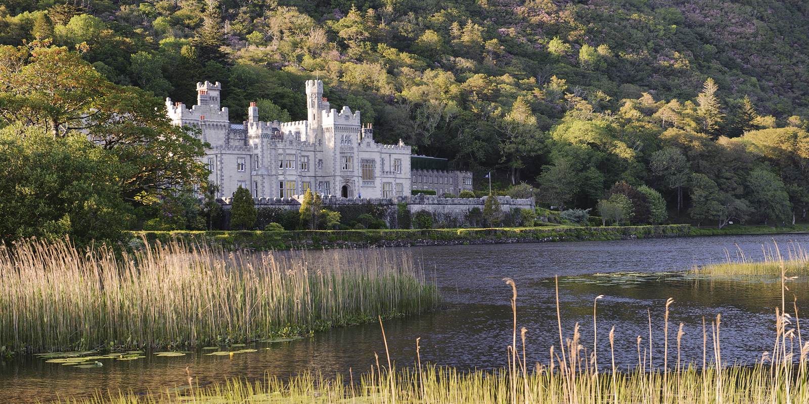 castle looking out on lake with autumnal forestry