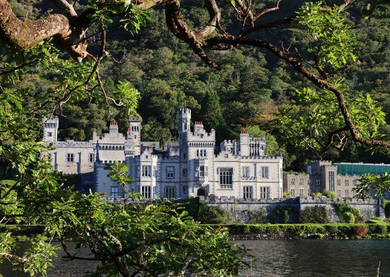 Castle surrounded by trees and beside a lake