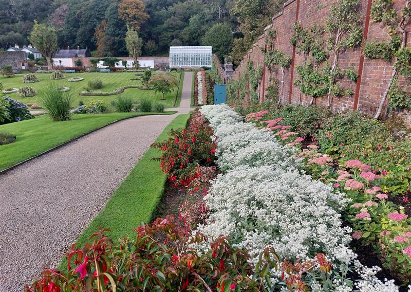 Ribbon Beds with white and purple flowers