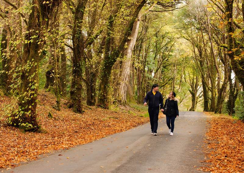 Walks in Connemara
