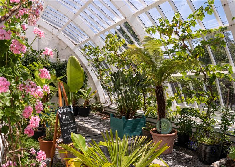 glasshouses 11