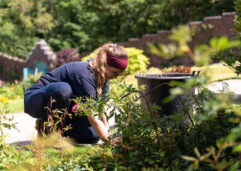 Garden Team