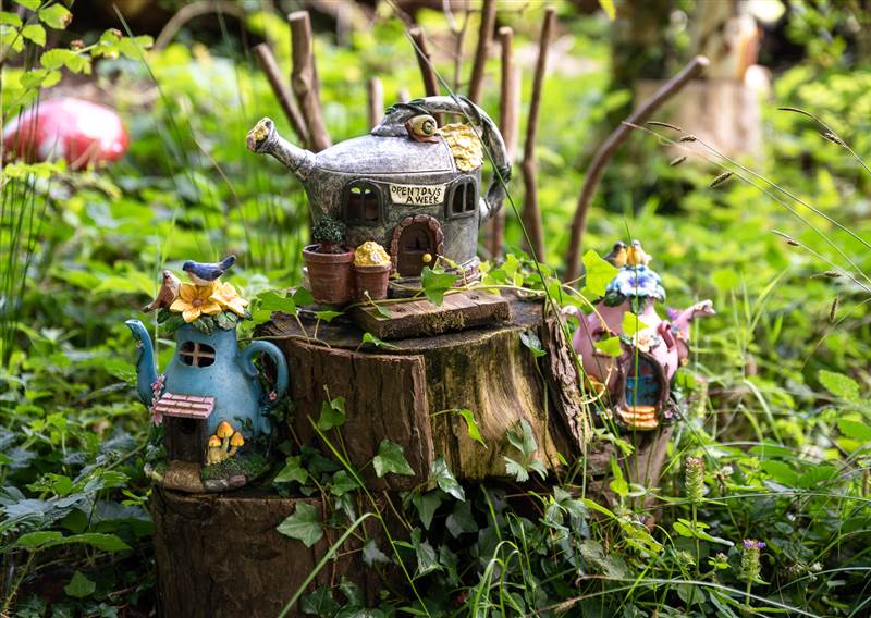 wildplayarea 12