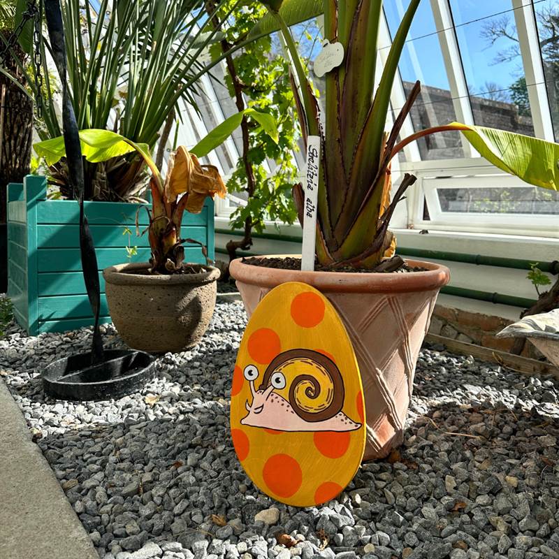 Easter Egg Snail