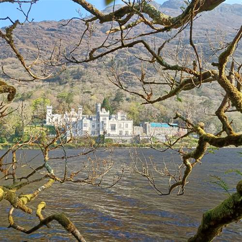 Bright lights deals kylemore