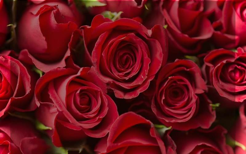 Valentines Foodie Special