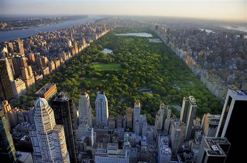 Central Park Aerial View