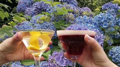 Bellinis Bar