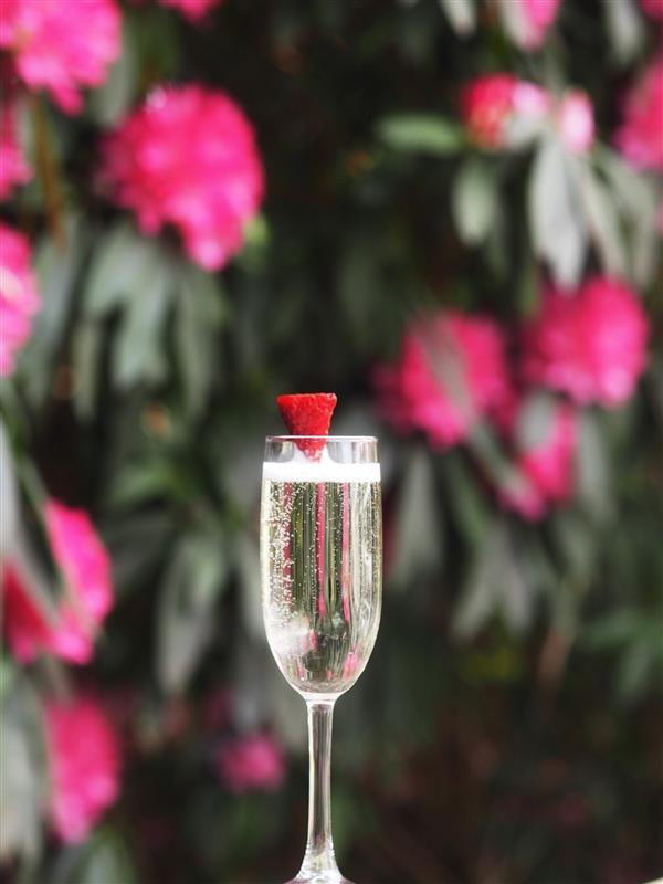 PROSECCO Love Lauren