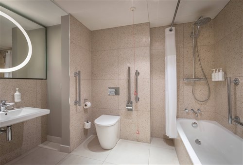 Accessible Bedroom 222 bathroom 2 (1)
