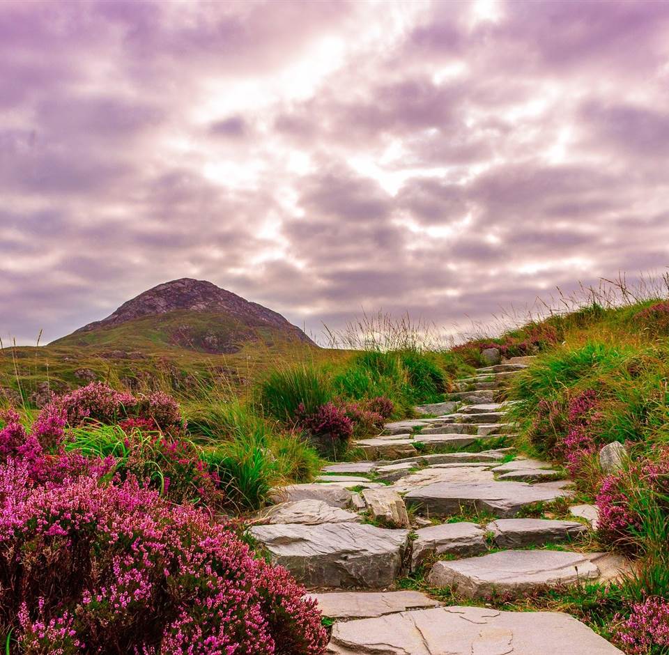 Connemara
